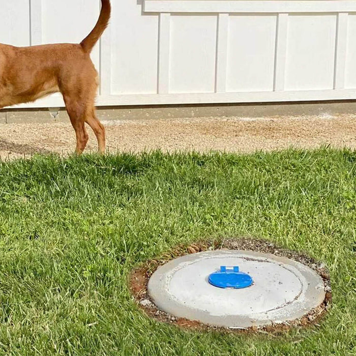 A dog next to the ground hydrant with a closed cover.