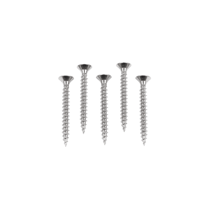 A product shot of 5 hydrant mounting screws.