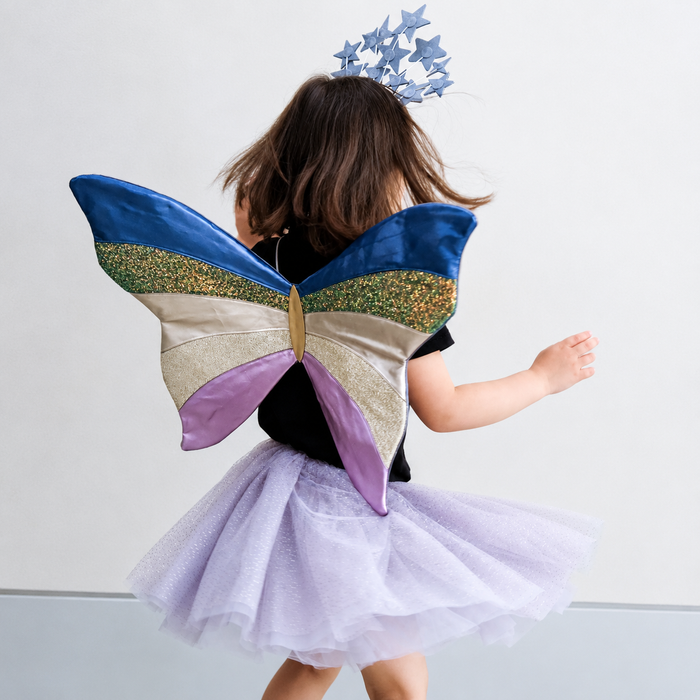 Intergalactic Wings