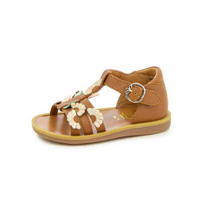 Poppy Multi Daisy